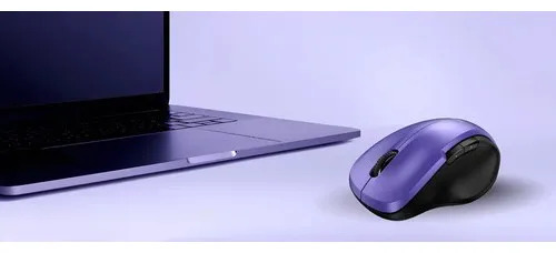 ML 8