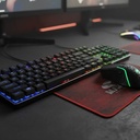 ML 4