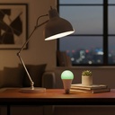 ML 8