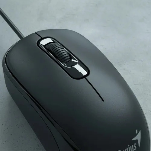 ML 5