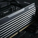 ML 7