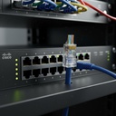 Kit 100 Conectores Rj45 Pasante Cat 5