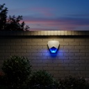 Sirena Exterior Cableada Azul