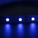 ML 4