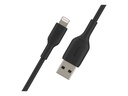 AB141BLK81