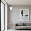 Detector Infrarrojo Inalambrico Ax Pro