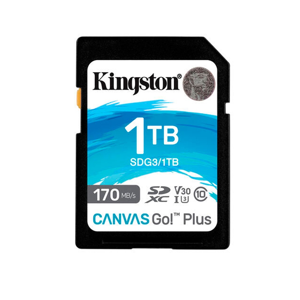 SD 1TB CANVAS GO PLUS G4