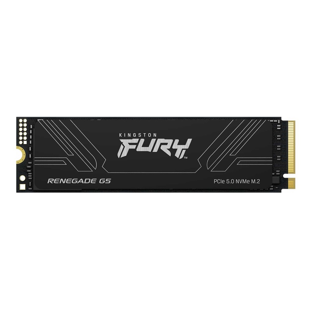 FURY RENEGADE4096GB G5 PCIE 5.