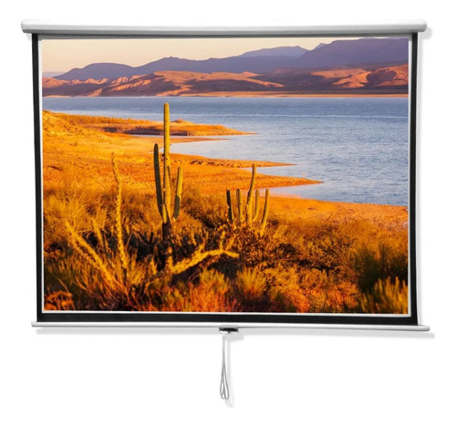 Pantalla 84" Blanco Mate