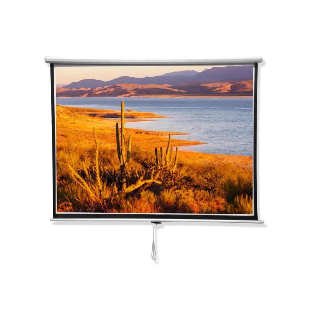 Pantalla 84" Blanco Mate