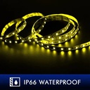 Cinta LED 5m 300 Smd5050 24V Ip66 Amarillo