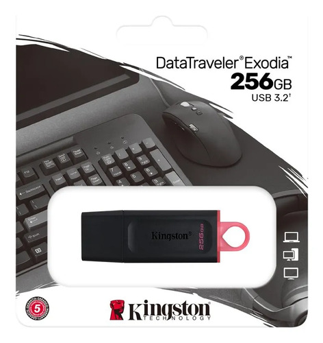 Pendrive 256GB Kingston Datatraveler Exodia/Kyson