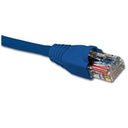 Cable UTP Cat6 0.9m Nexxt Solutions Infrastructure