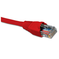CABLE DE RED CAT6 2.13m Utp Cat6