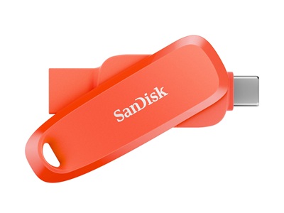 Unidades Flash USB - USB flash drive - USB 3.2 Gen 1 / USB-C