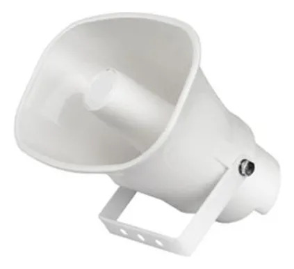 PARLANTE 30W Analógico
