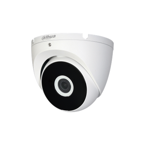 CAMARA IP Domo IP