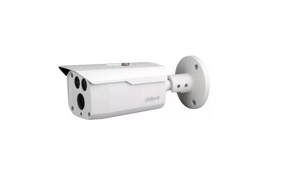 CAMARA IP Domo IP