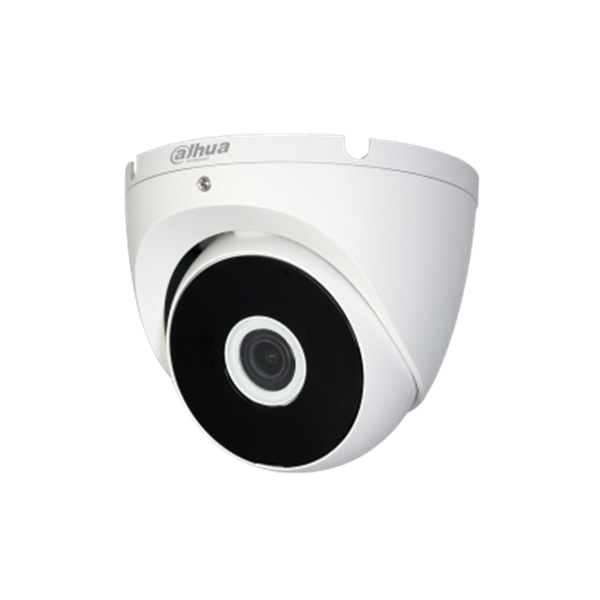 CAMARA IP Domo IP