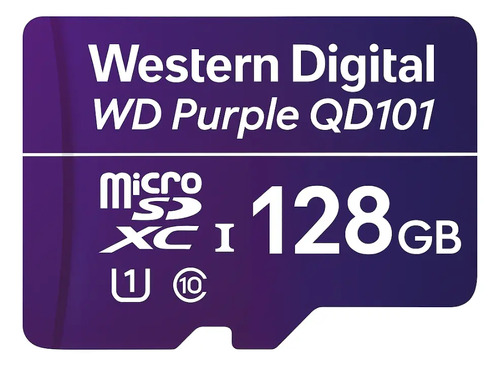 DISCO SURVEILLANCE 128GB