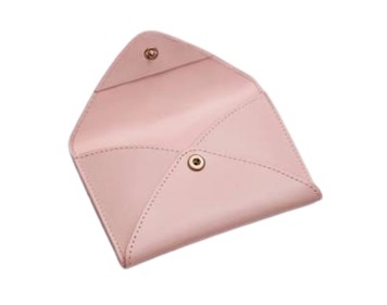 Estuche Para Pasaporte Gaston Luga Passet 7031