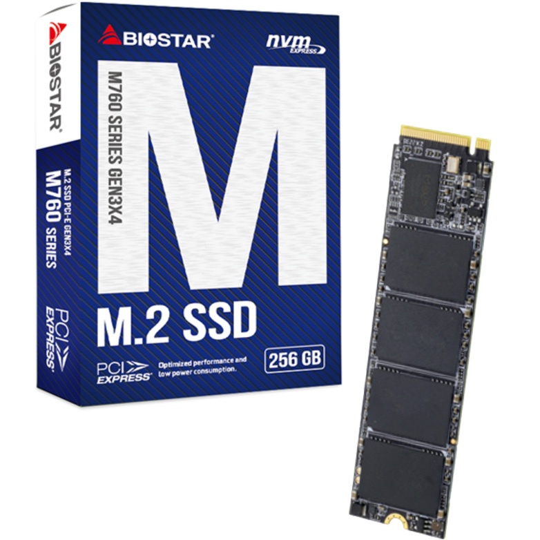 Almacenamiento M.2 256GB